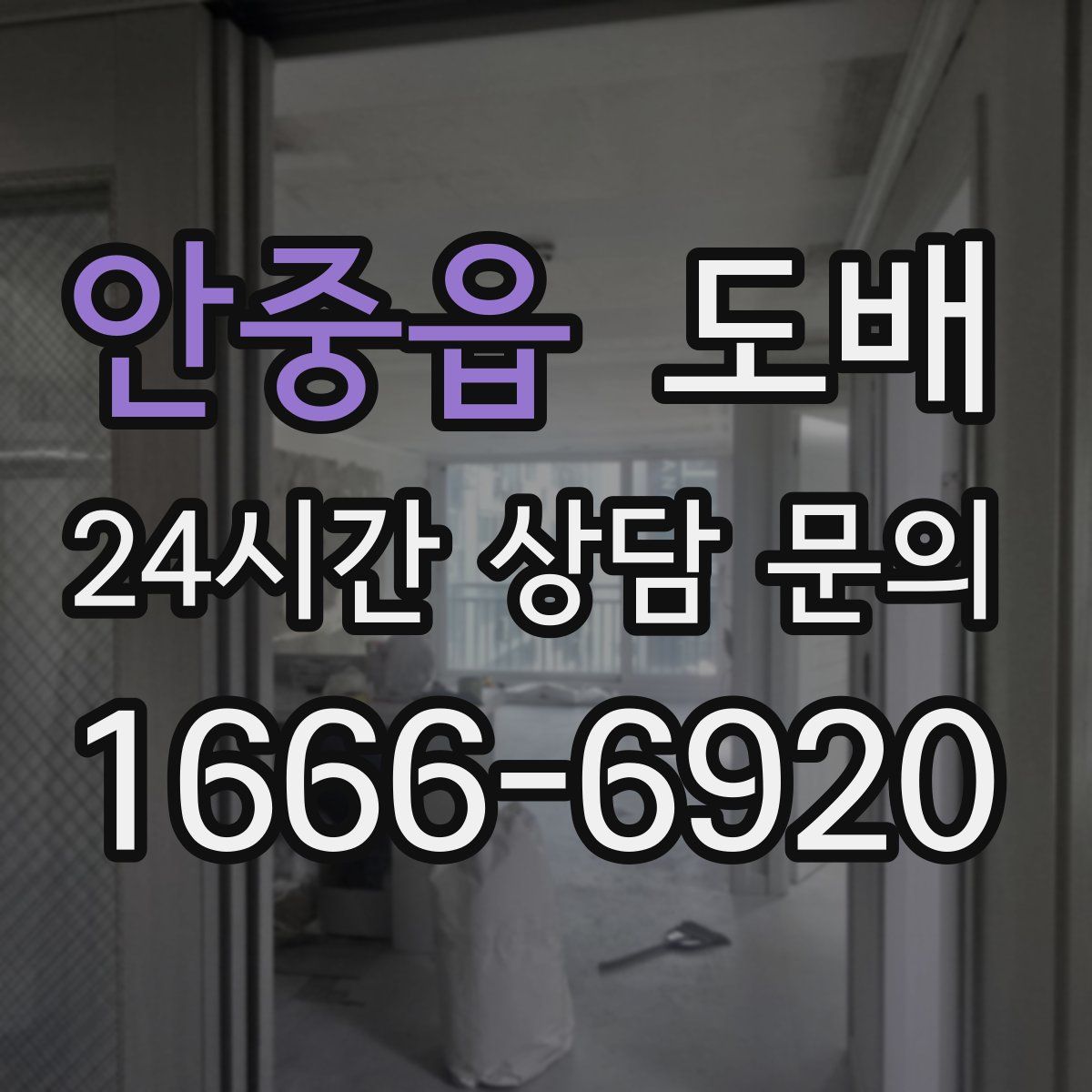 안중읍 도배