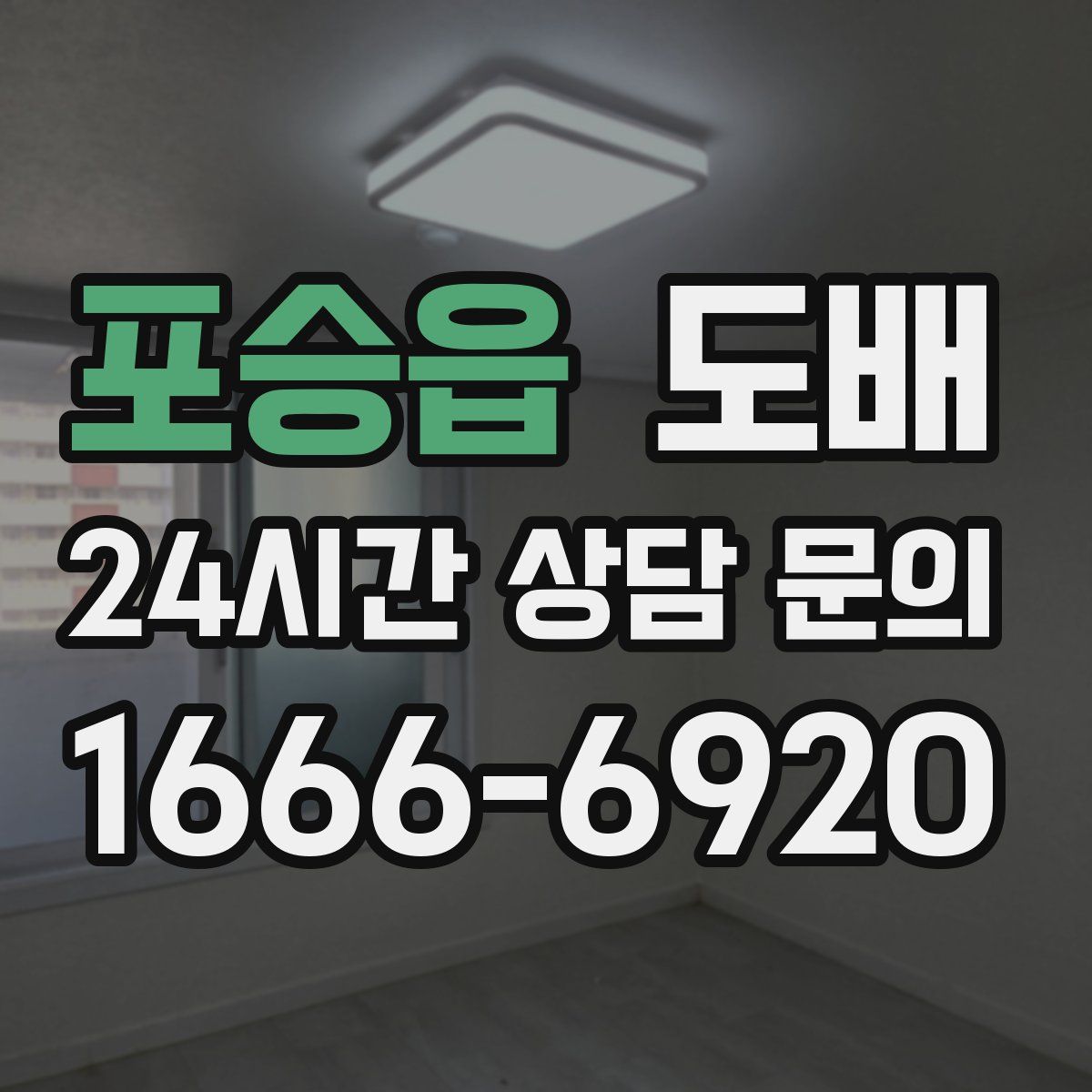포승읍 도배