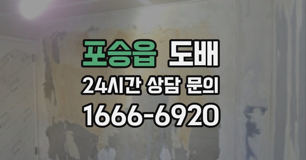 포승읍 도배