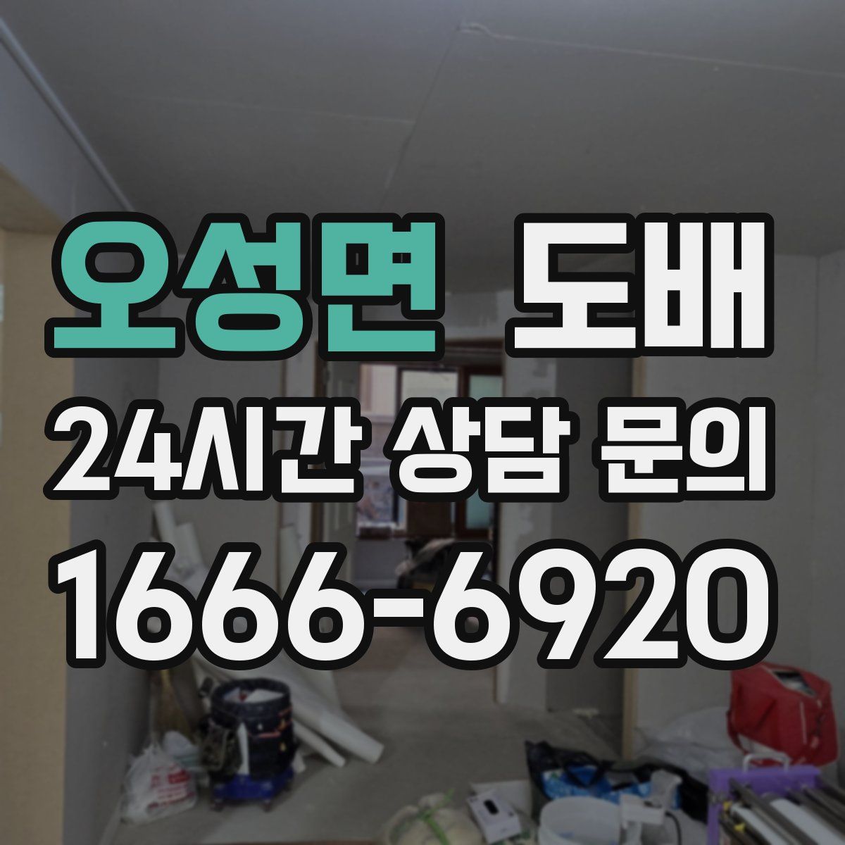 오성면 도배