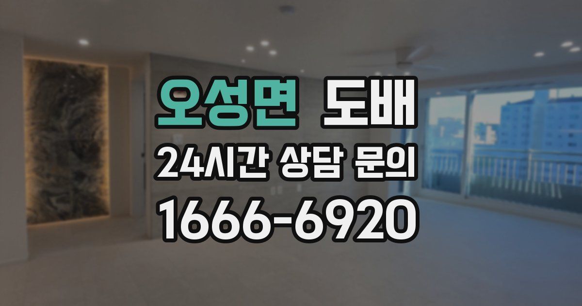 오성면 도배