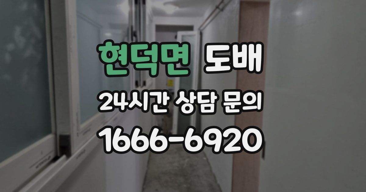 현덕면 도배