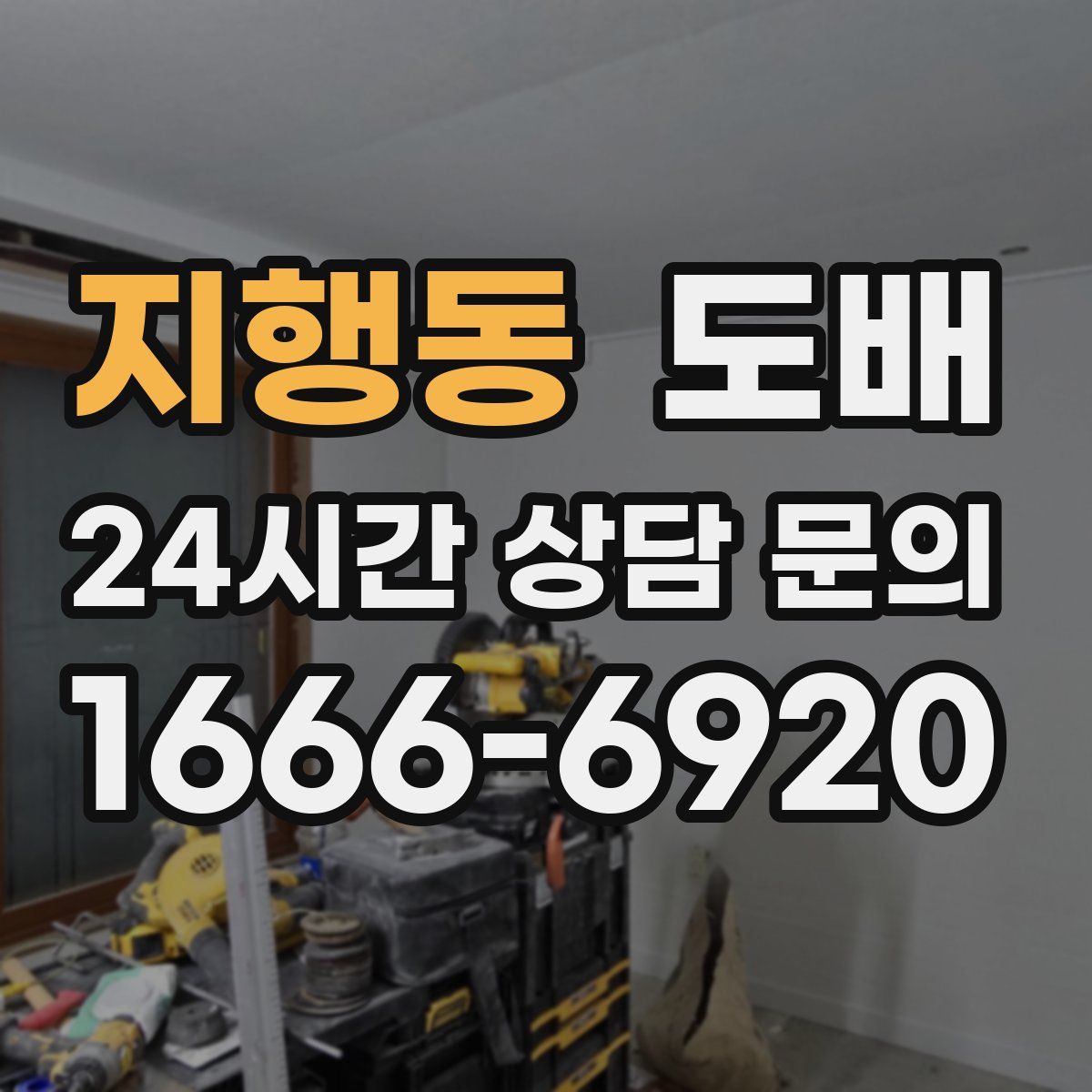 지행동 도배