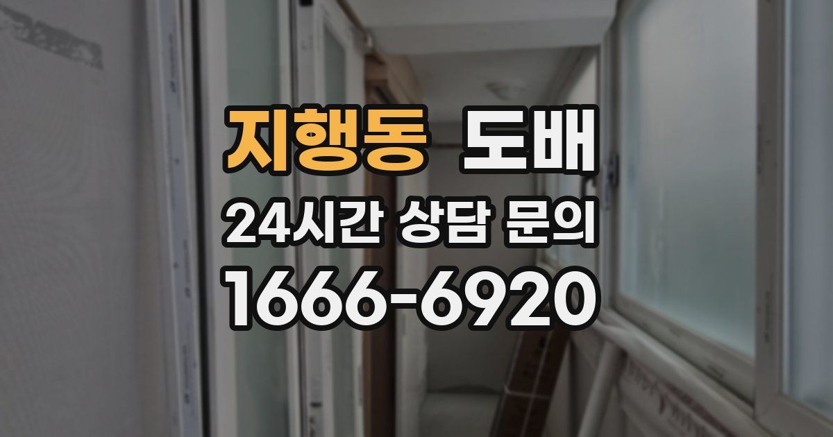 지행동 도배