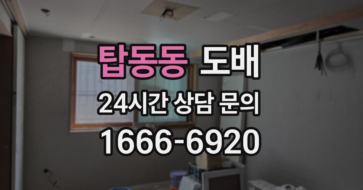 탑동동 도배
