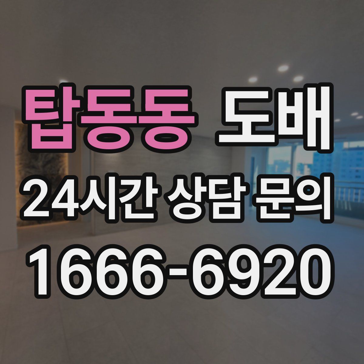 탑동동 도배