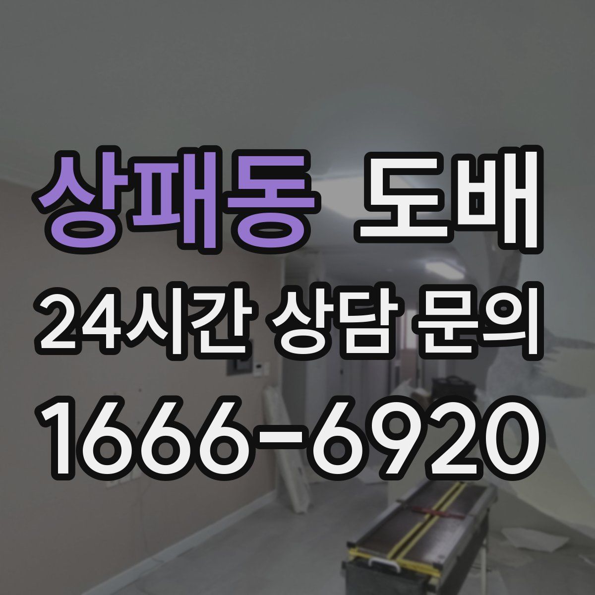 상패동 도배