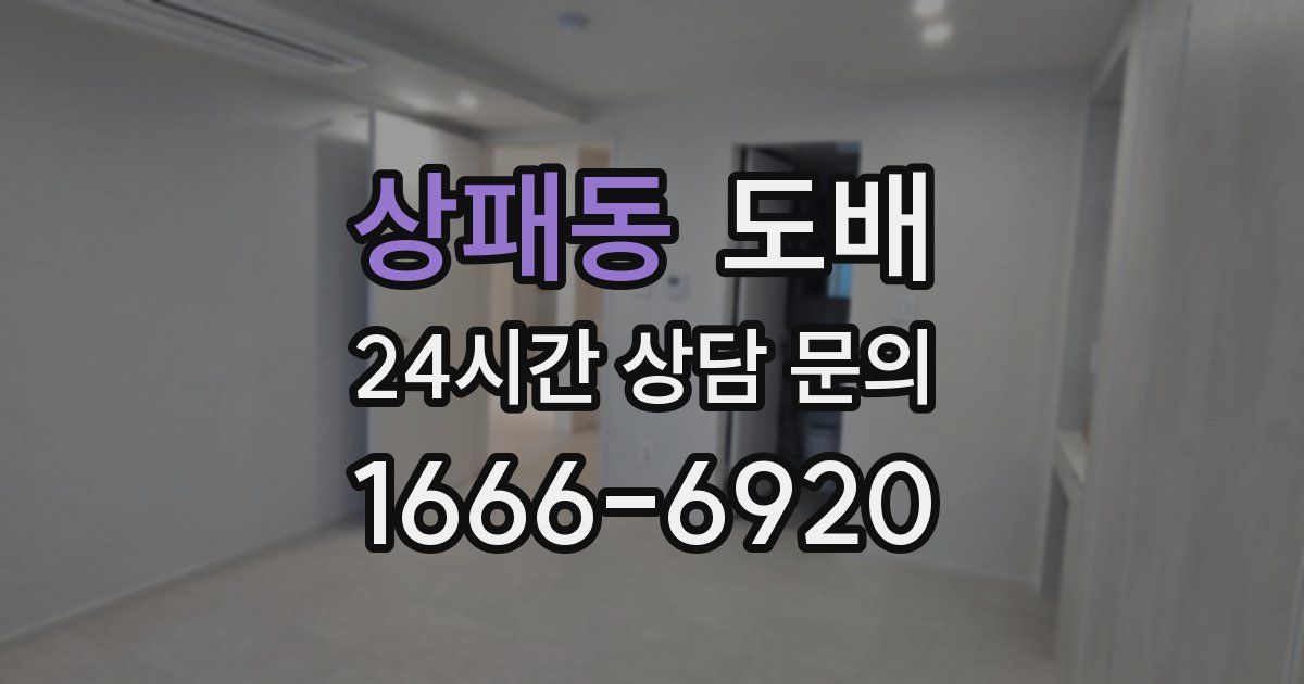 상패동 도배
