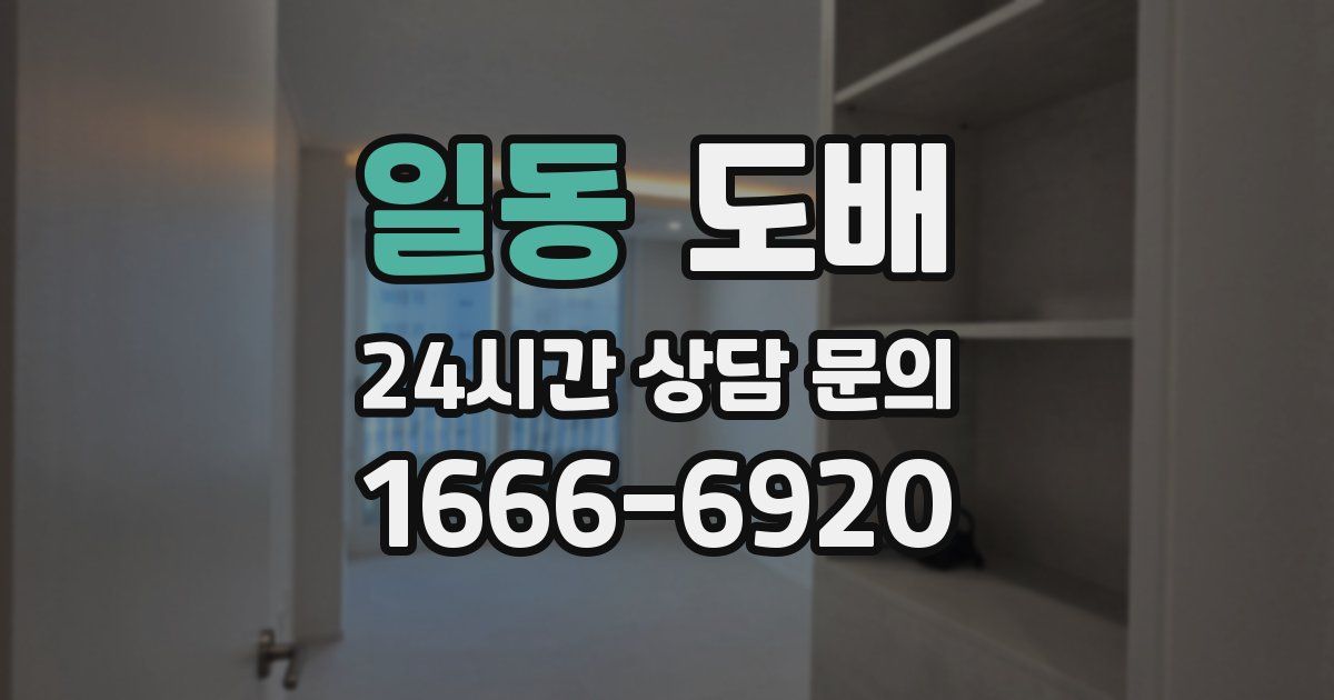 일동 도배