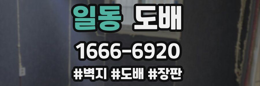 일동 도배