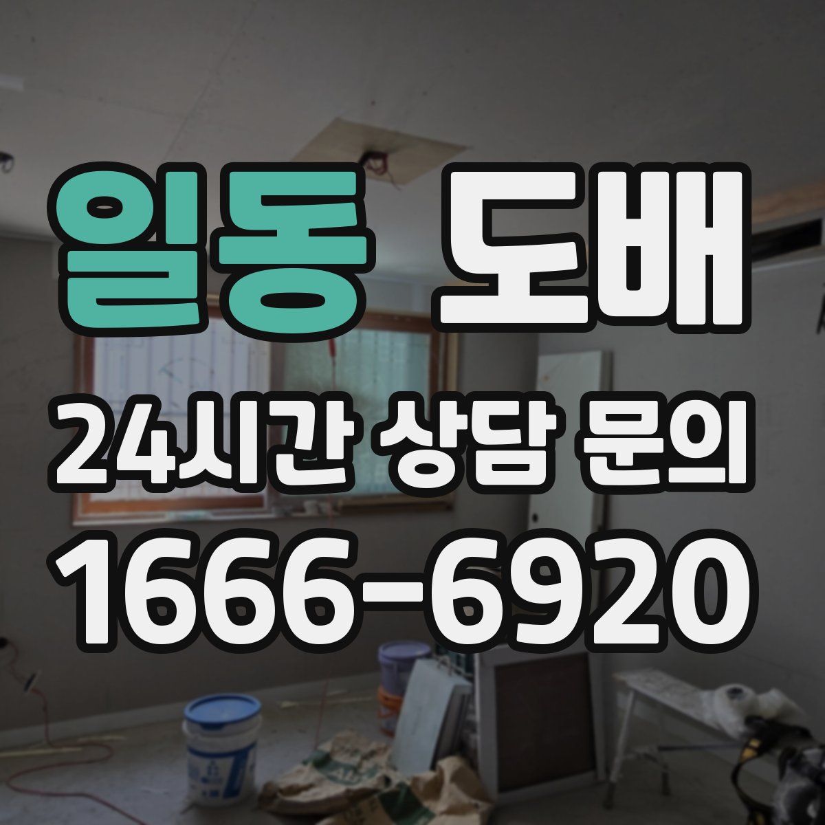 일동 도배