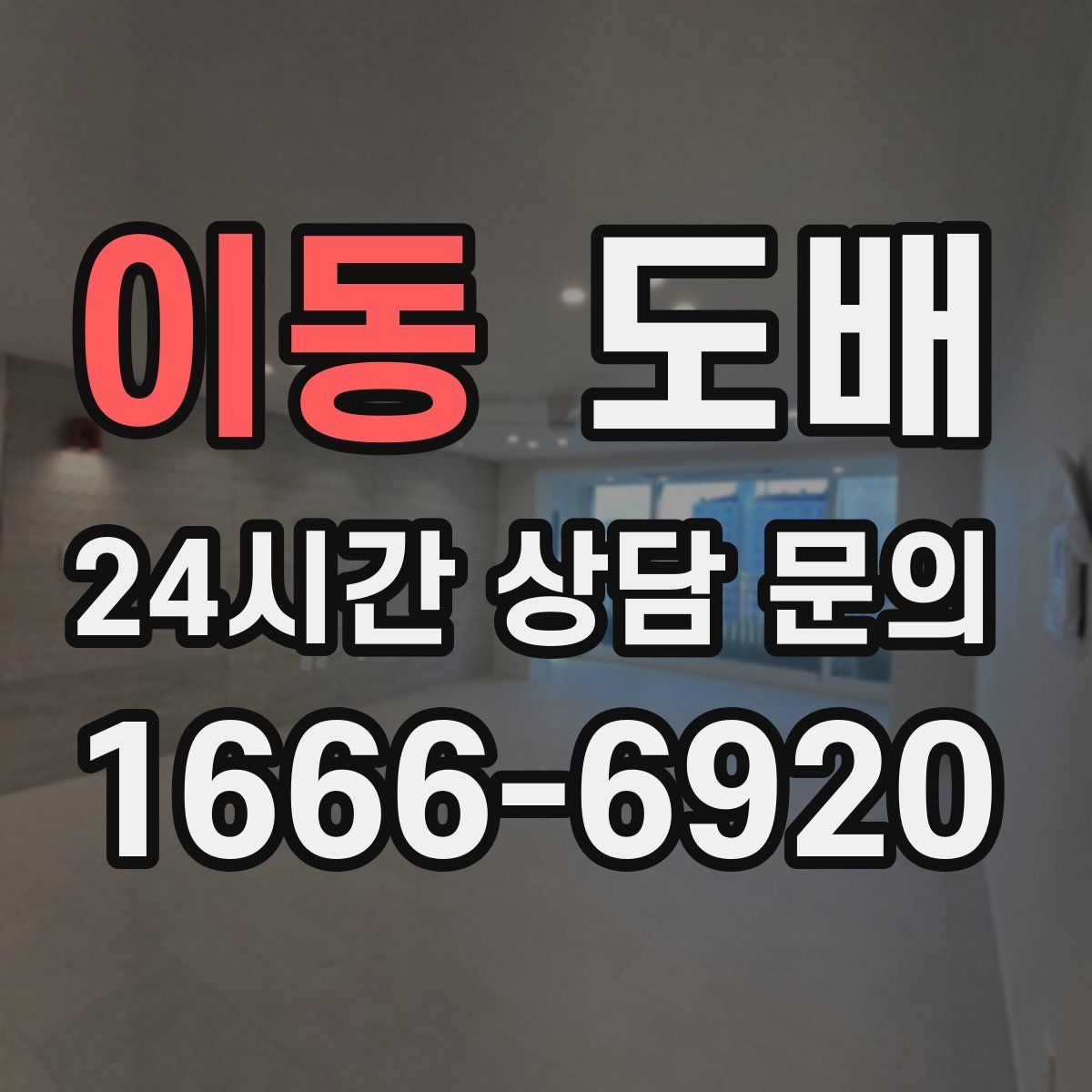 이동 도배