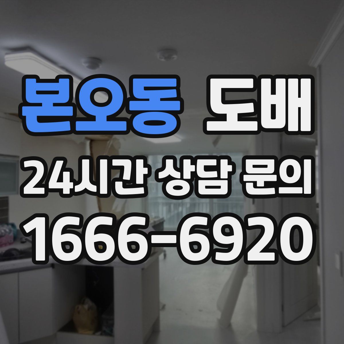 본오동 도배