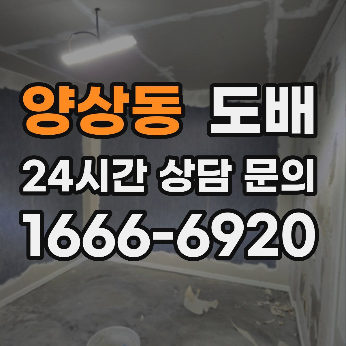 양상동 도배