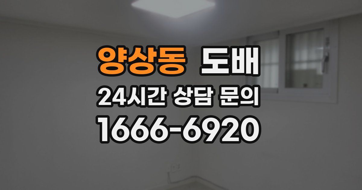 양상동 도배