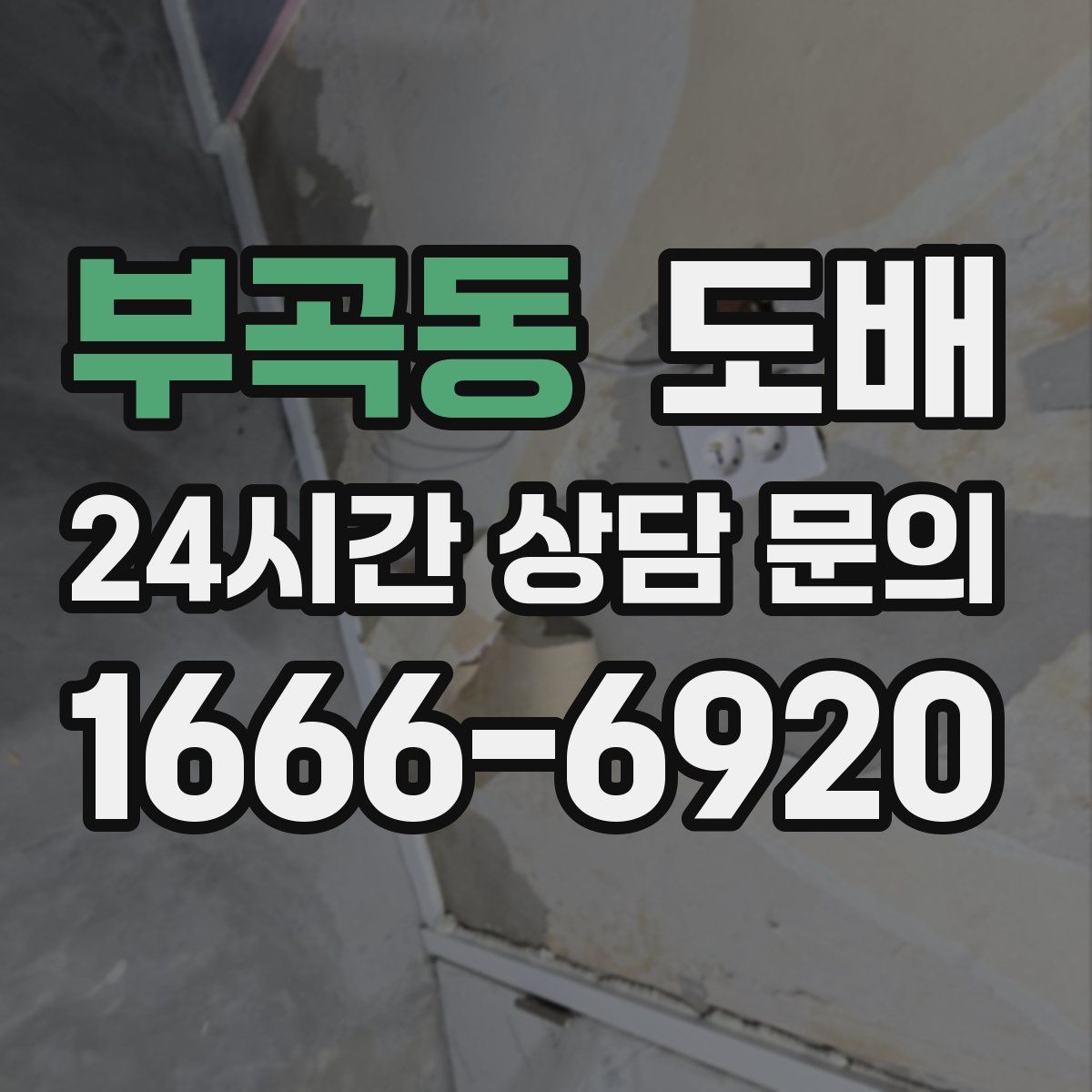 부곡동 도배