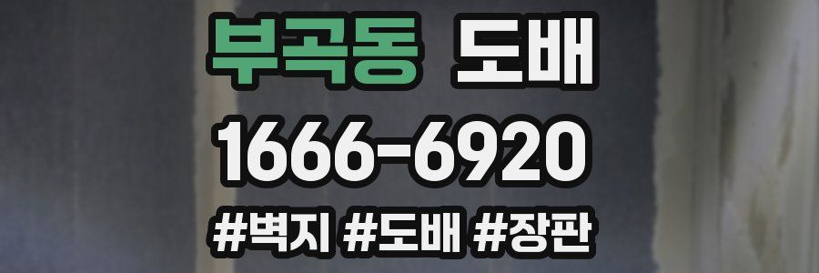 부곡동 도배
