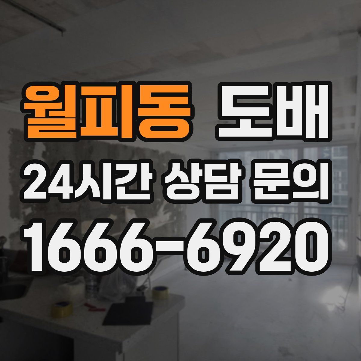 월피동 도배