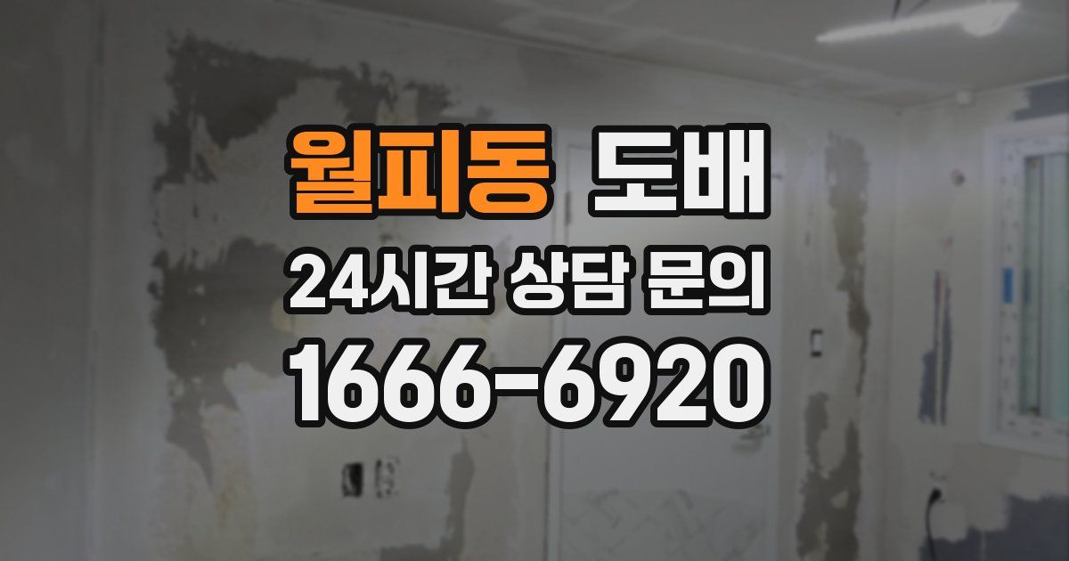 월피동 도배