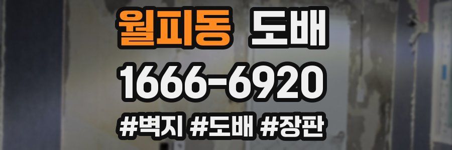 월피동 도배