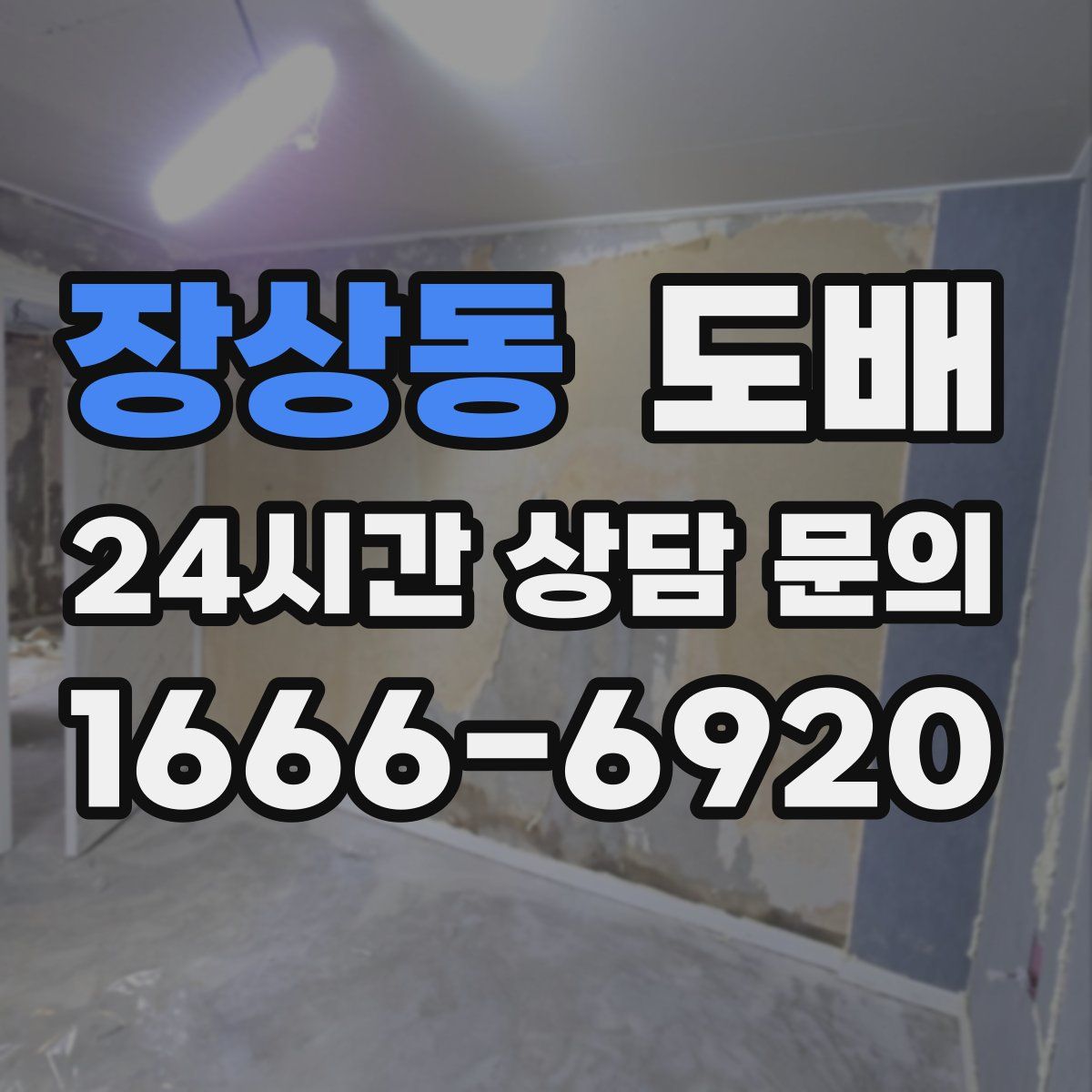 장상동 도배