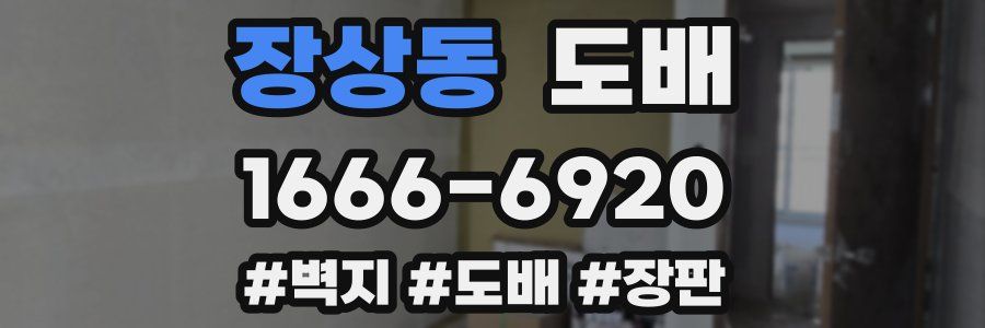 장상동 도배