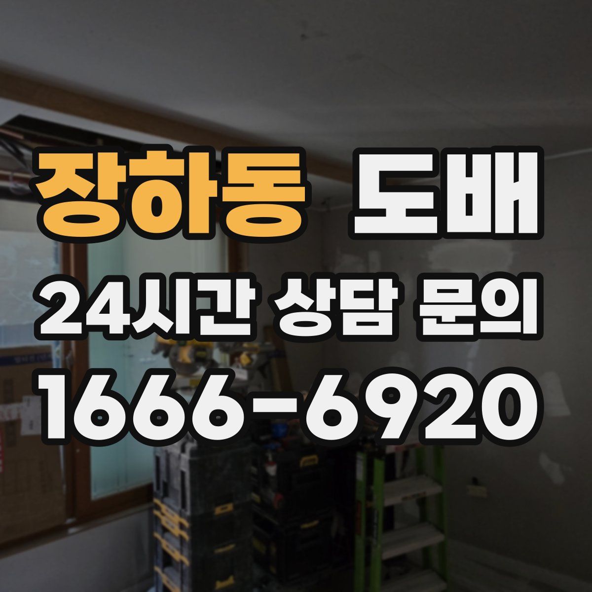 장하동 도배