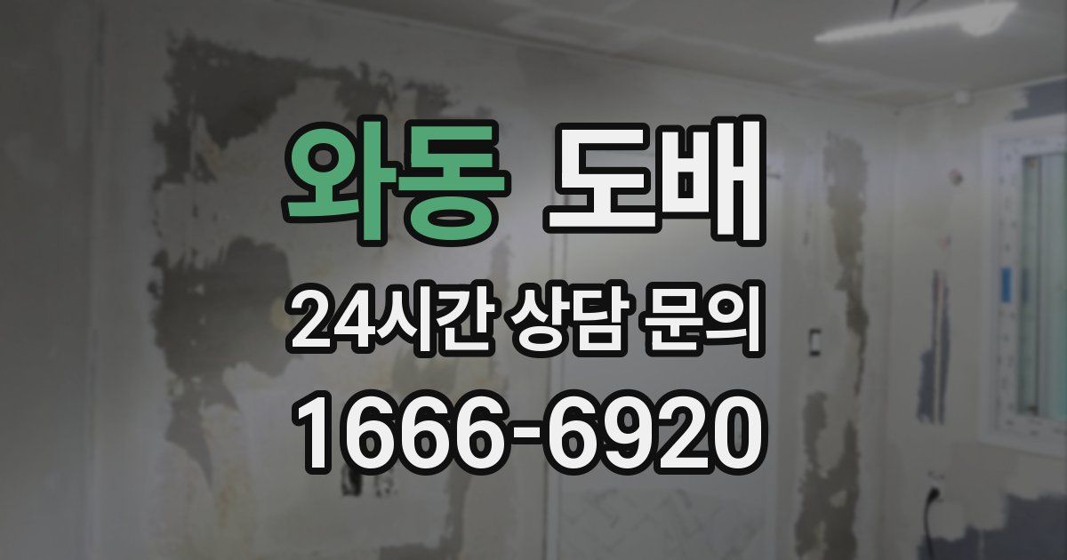와동 도배