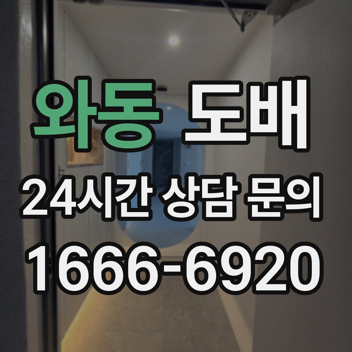 와동 도배