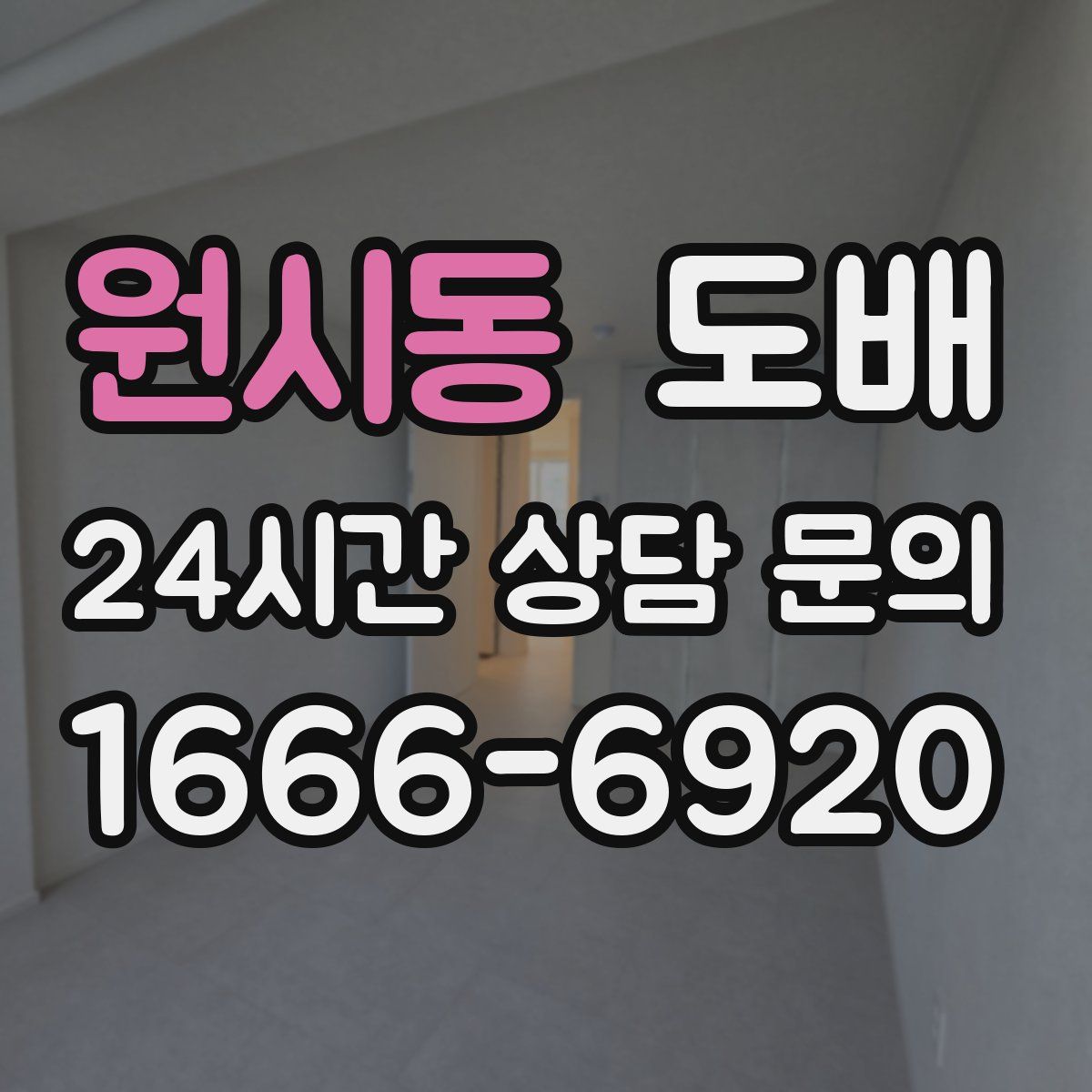 원시동 도배
