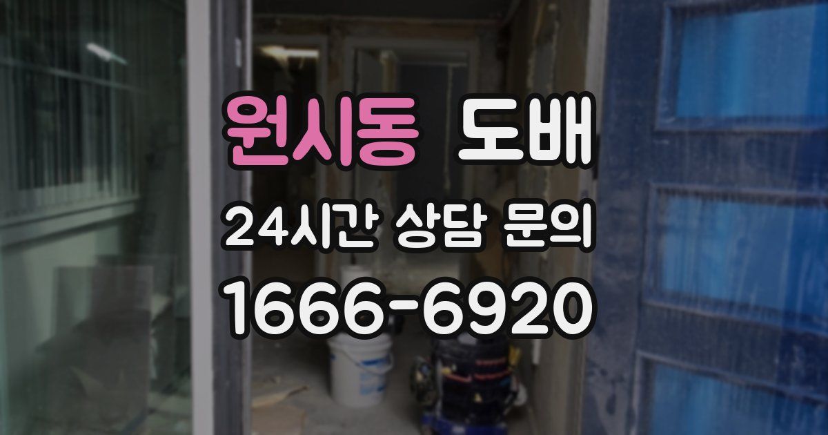원시동 도배