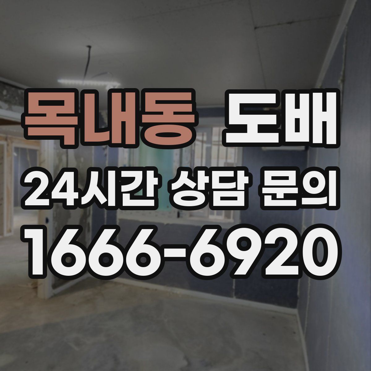 목내동 도배