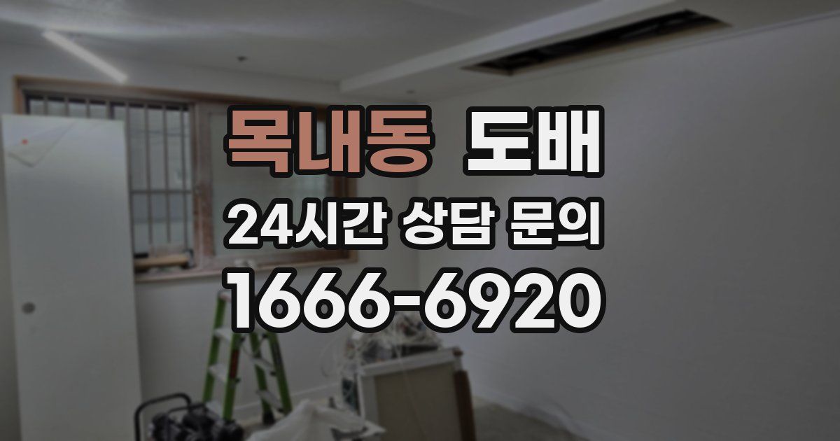 목내동 도배