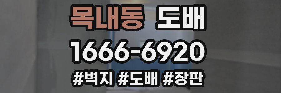 목내동 도배