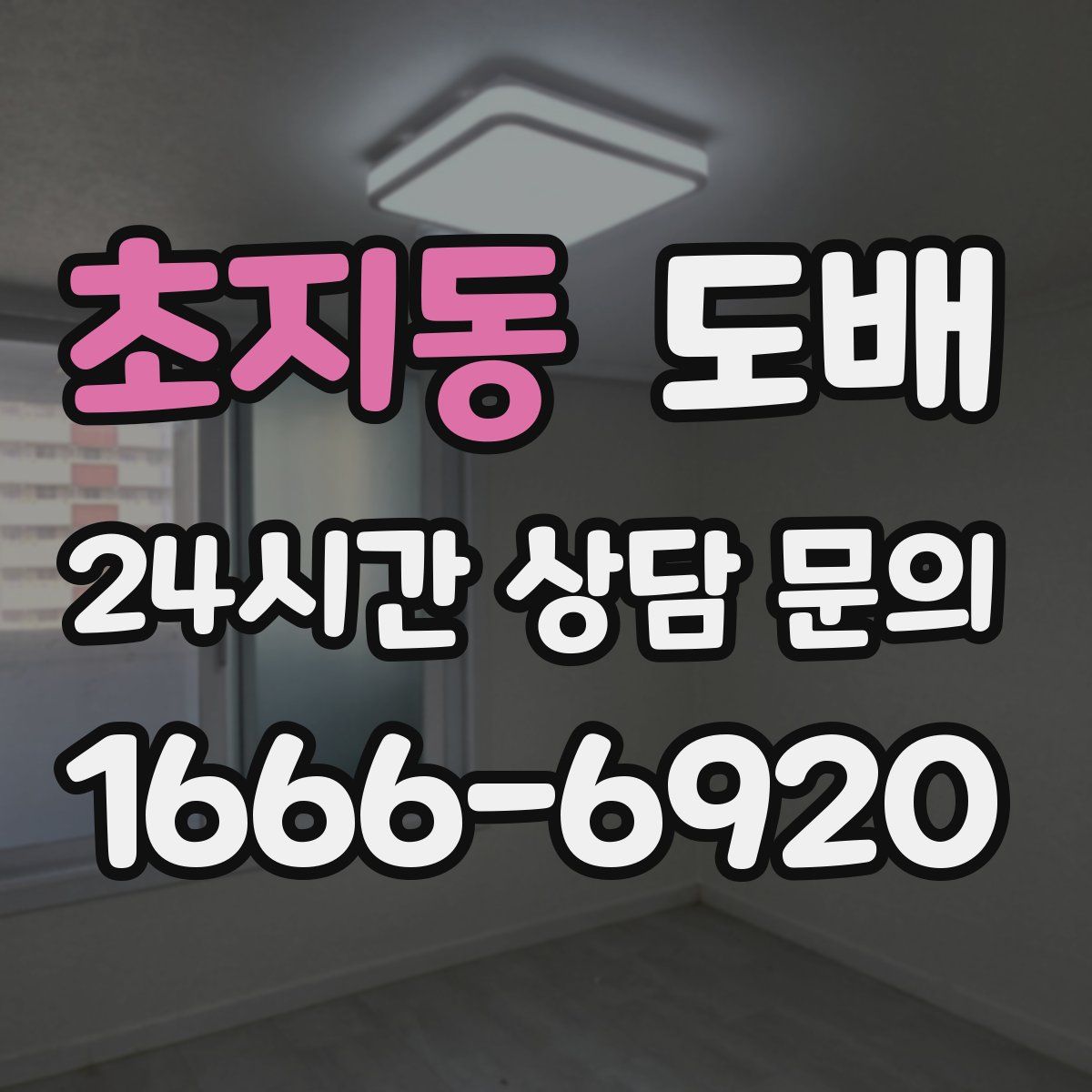 초지동 도배