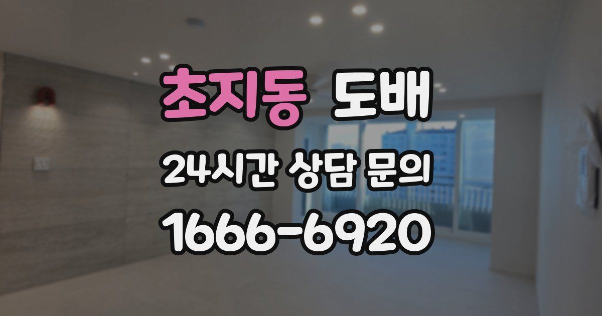 초지동 도배