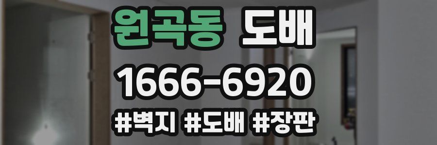원곡동 도배