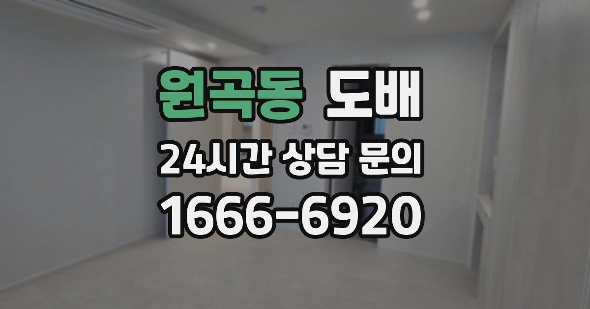 원곡동 도배
