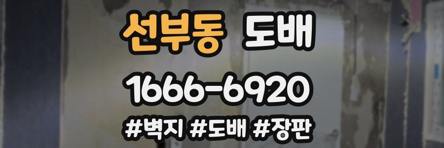 선부동 도배