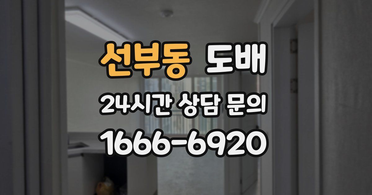 선부동 도배
