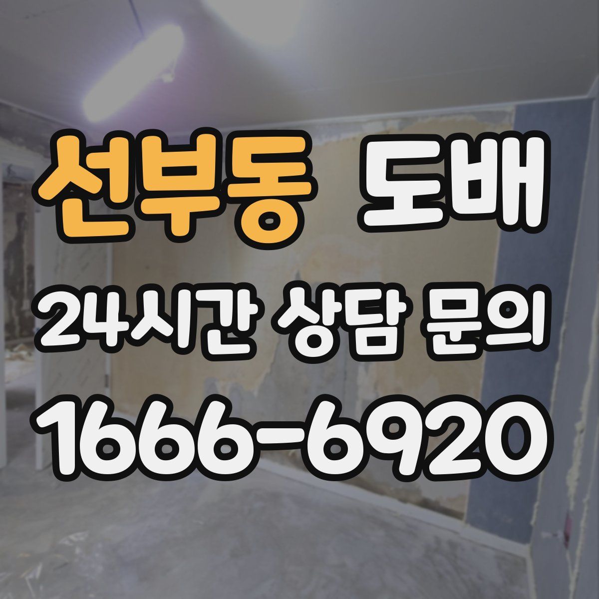 선부동 도배