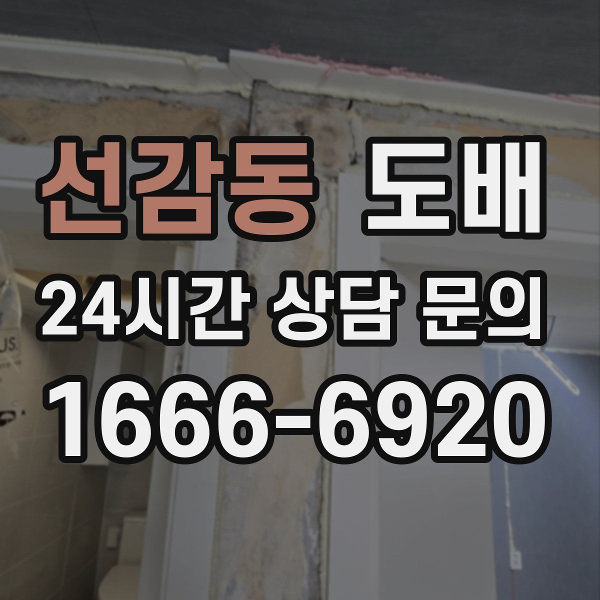 선감동 도배