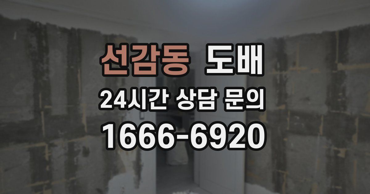 선감동 도배
