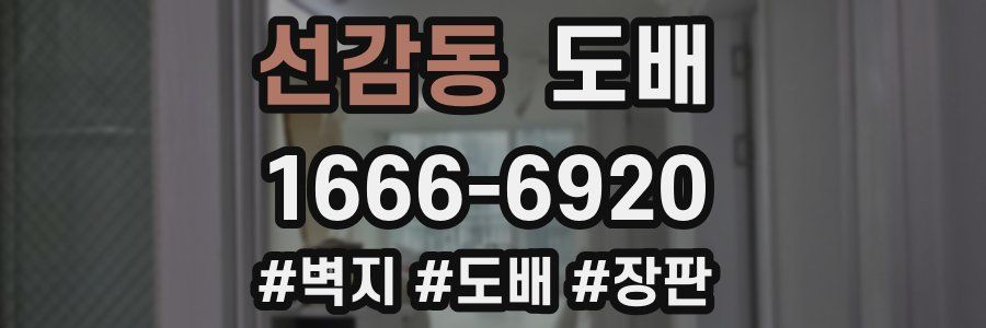 선감동 도배