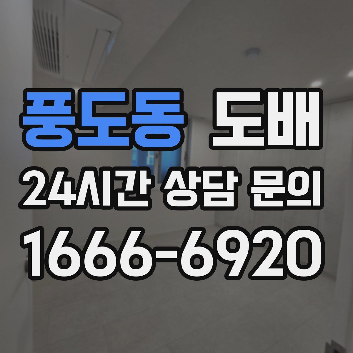 풍도동 도배