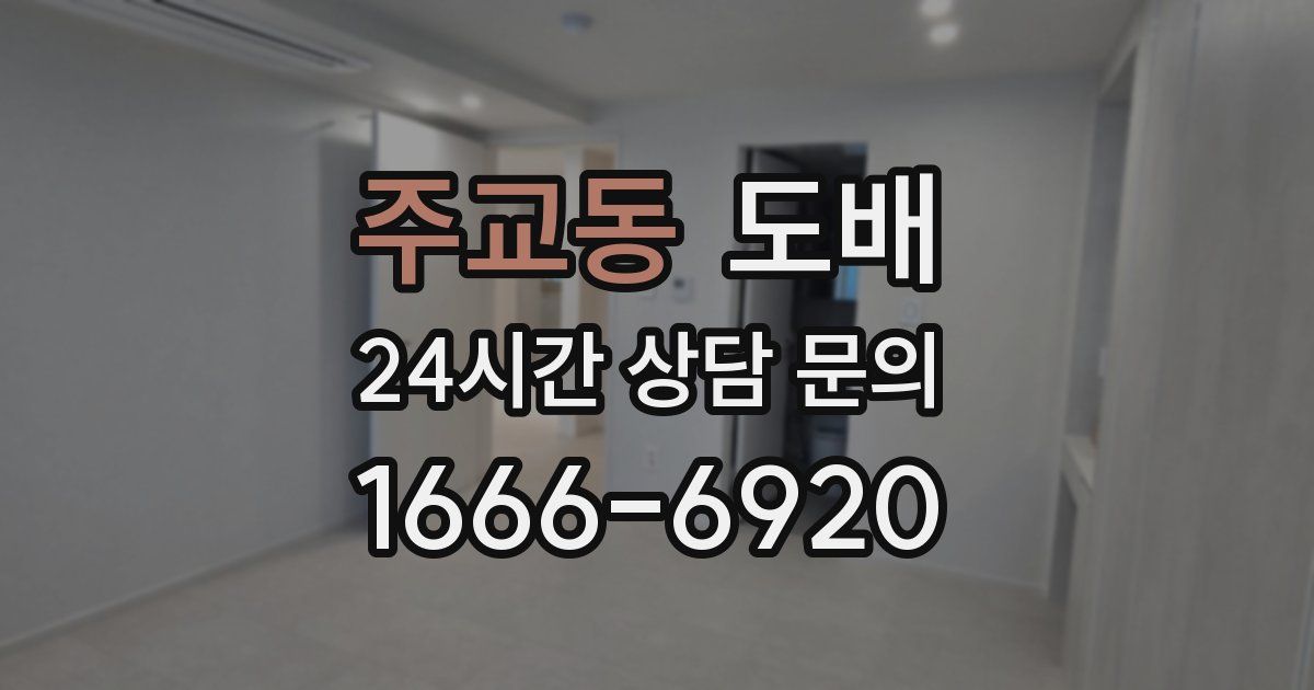 주교동 도배