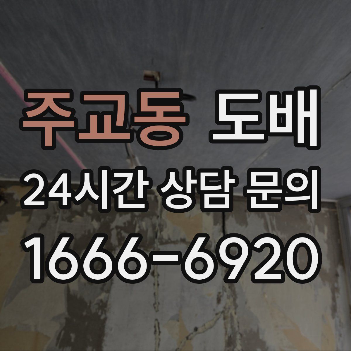주교동 도배
