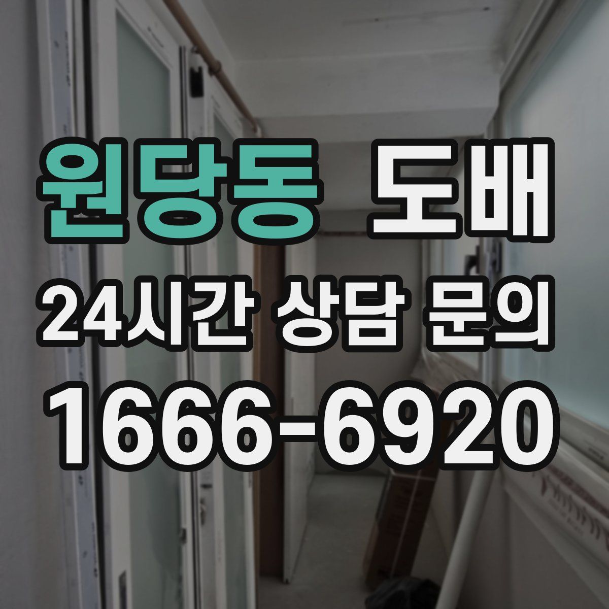 원당동 도배