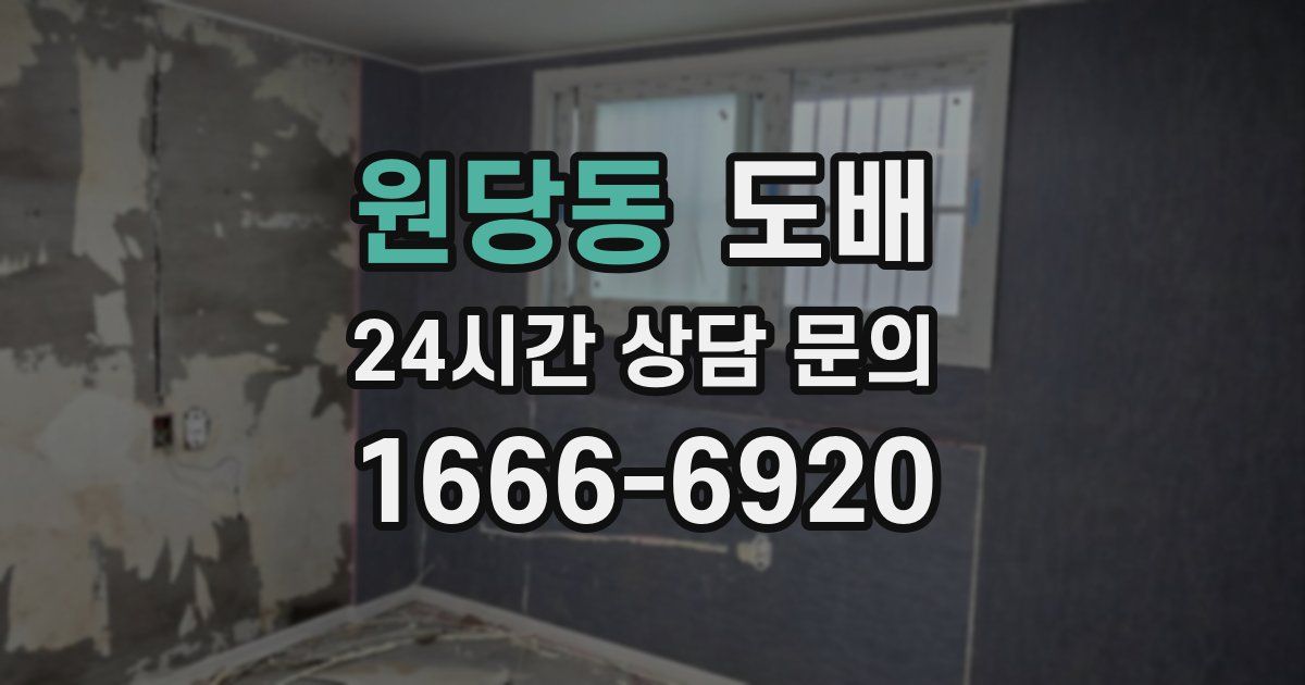 원당동 도배