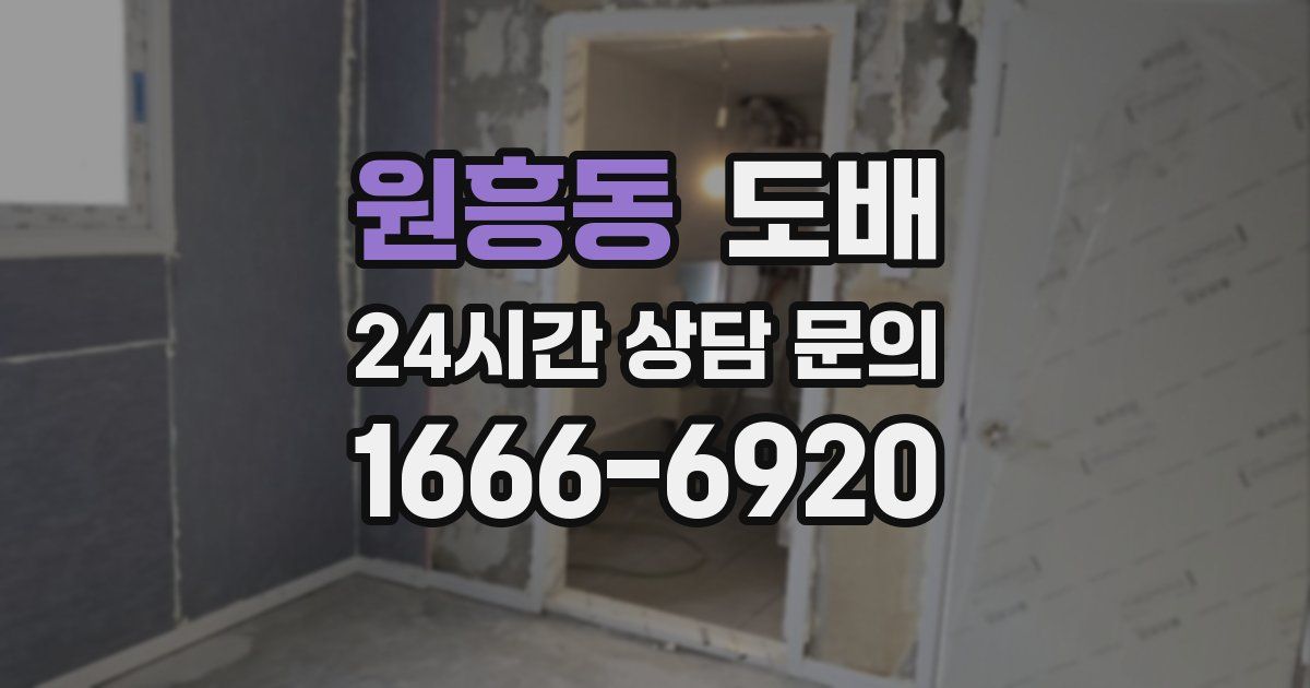 원흥동 도배